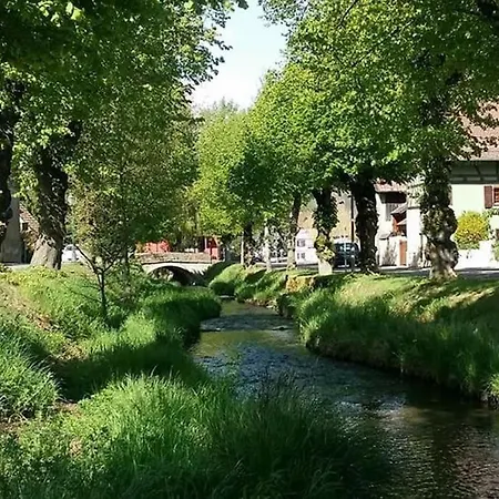 Guldangel *