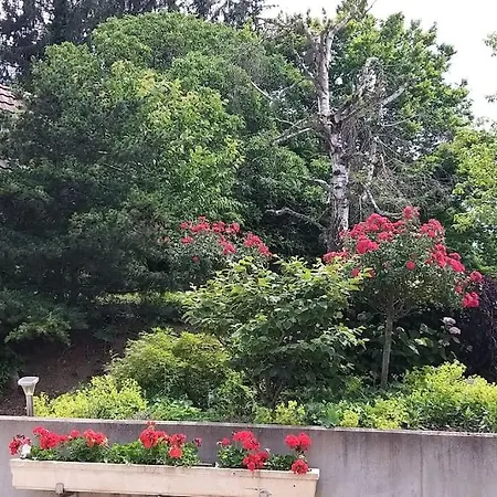 Guldangel Tatil Evi Hirsingue